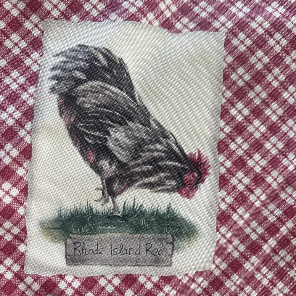 Chicken Rooster‎ Vinyl Placemats Country Farmhouse Rustic Set Of 8 Red Check